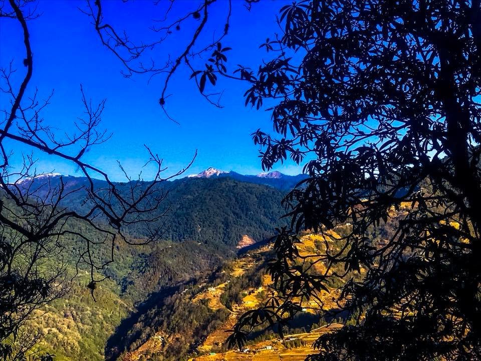 homestay in Sikkim - Bodhi Villa