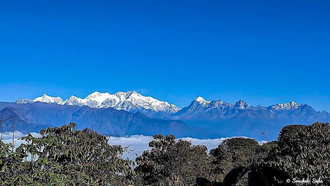 Barsey Rhododendron Sanctuary Tour Package  4 Days Okhrey Hilley Trek from  NJP / Siliguri - TravelGangtok